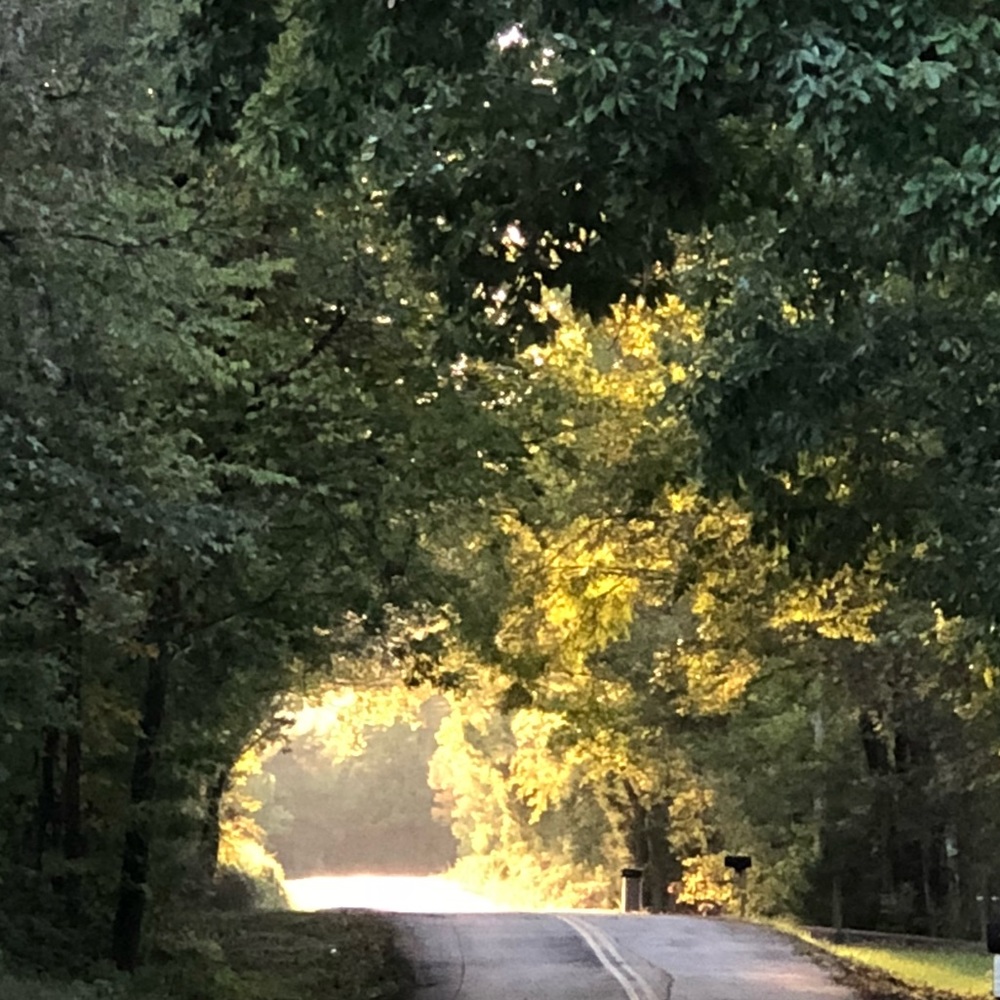 Meet your Posher, Lee